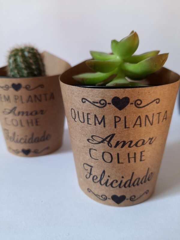 Suculentas