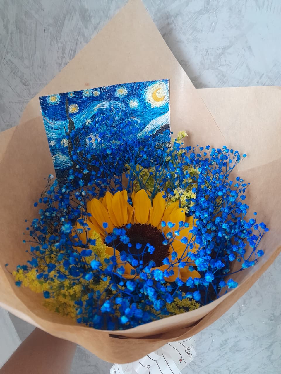 Girassol Noite estrelada